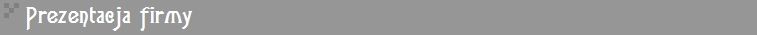 PREZENTACJA FIRMY